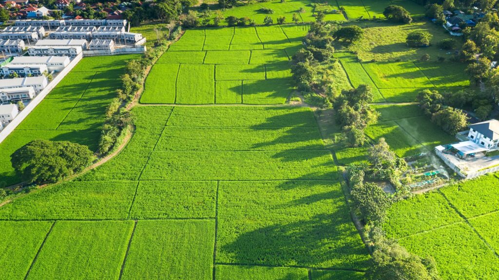 undeveloped land next to developed land