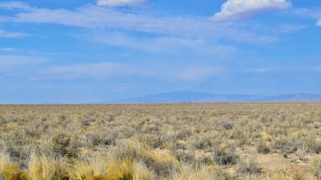 undeveloped land
