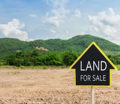 undeveloped land with sale sign