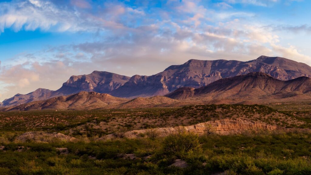 New Mexico landscape