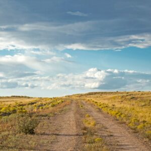 Ranch land in New Mexico