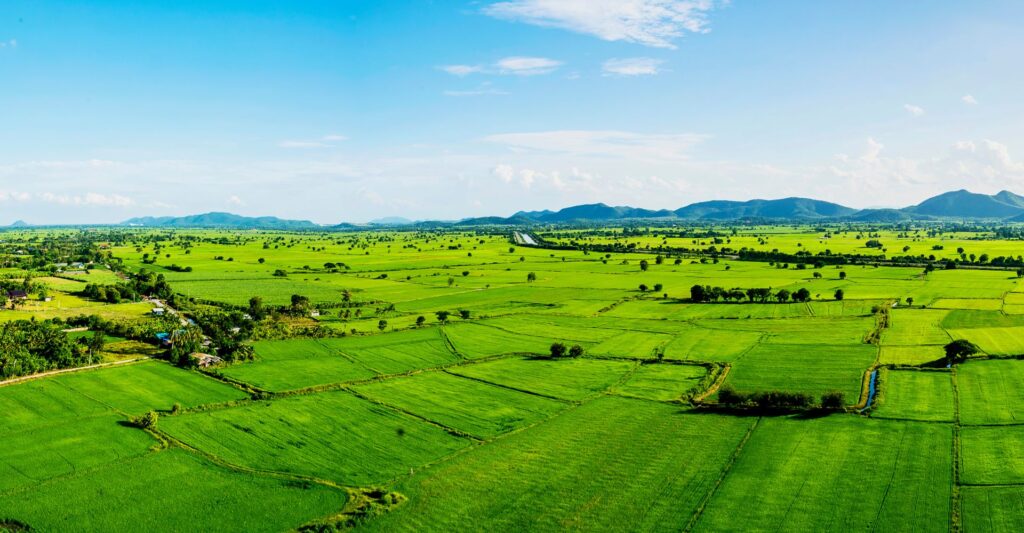 Vacant Land