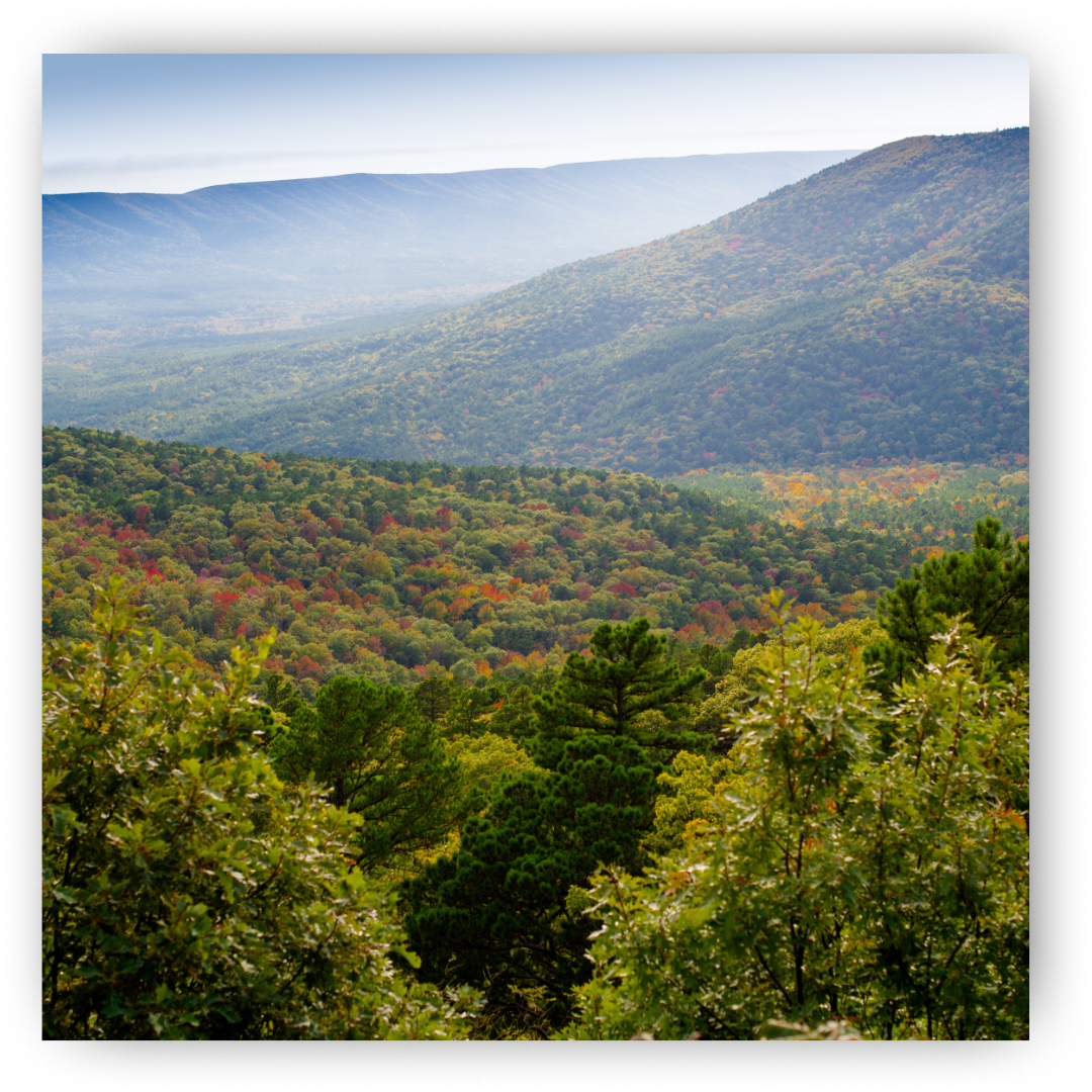 Arkansas Landscape
