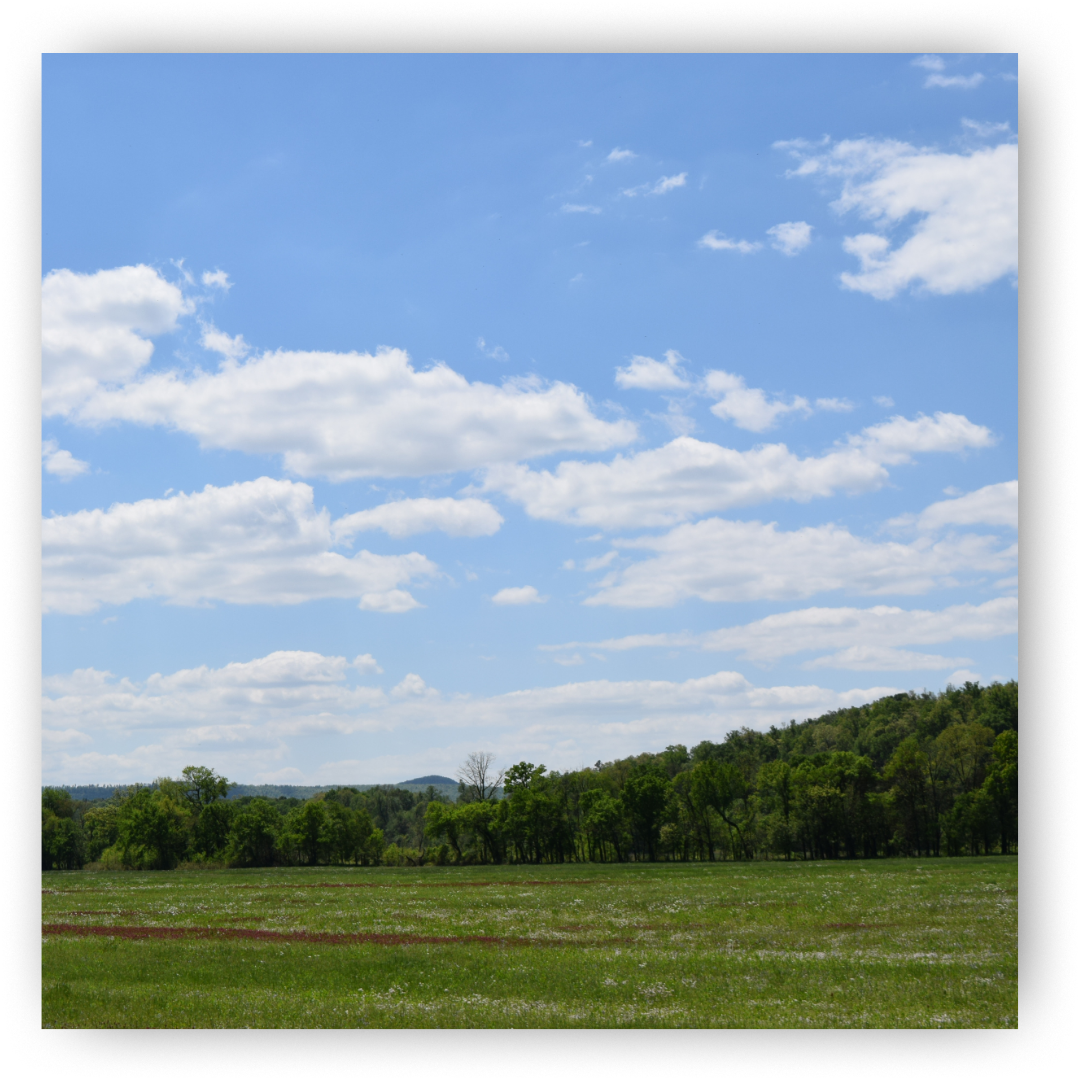 Arkansas Landscape