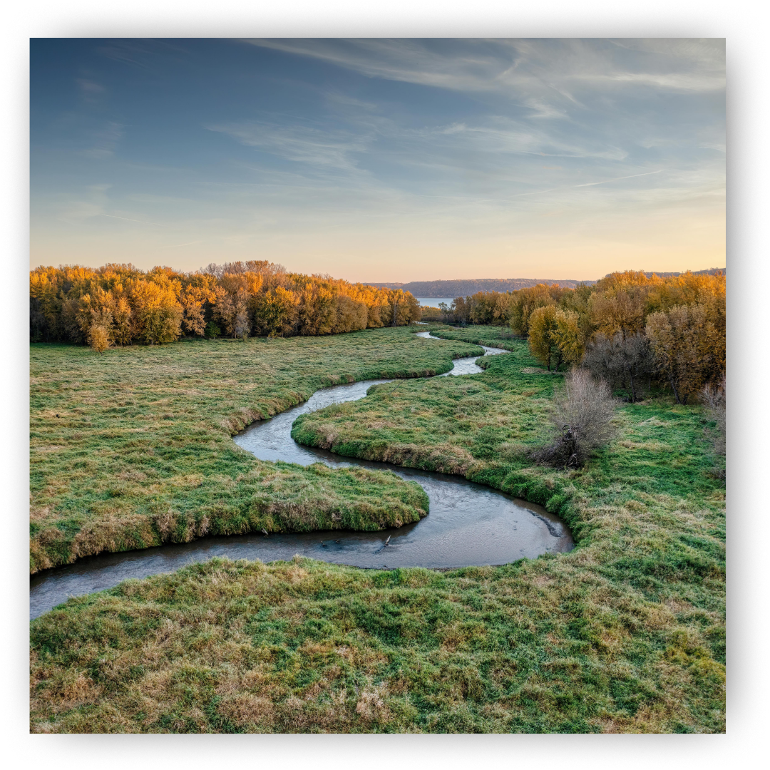 Minnesota landscape